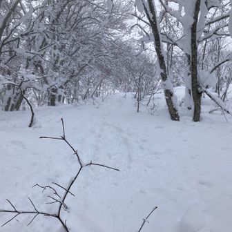 腹ごしらえして、復路は先行。山頂を振り返り、既に楽しい。
