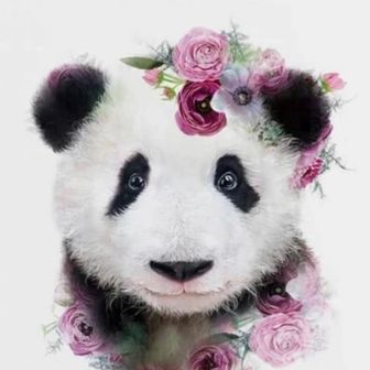 ちゃんまゅ･:*+.