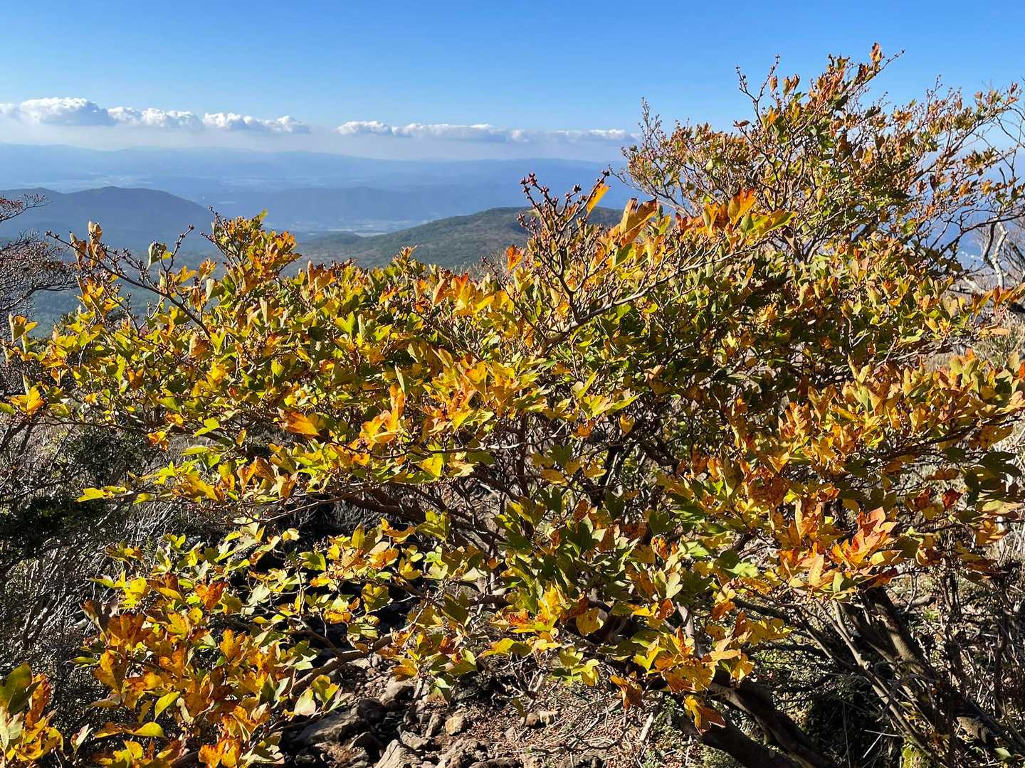 韓国岳 | 爆裂火口と霧島連山のパノラマを一望する百名山の王道コースの写真