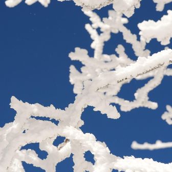 くじゅうブルー✨