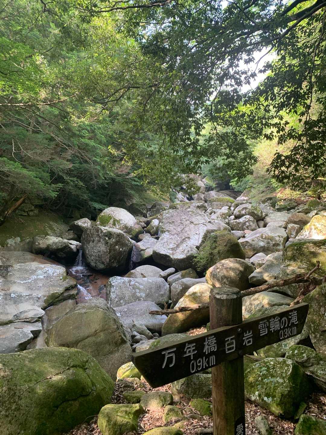 【滑床渓谷】南予山地の名峰に抱かれた美しい川床を満喫の写真