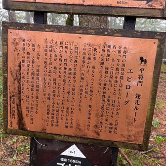 青梅の地名の由来らしい。


ちなみに、この案内板の作成を担当した丹波山役場文化財担当者のことば。

「そもそも冷静に考えると、追われて逃げているのにどれだけ休んでいるんだ、と言いたくなるかもしれません。そこは伝承と割り切っていただき、看板にツッコミながら楽しんでいただくのもひとつの在り方だと思います」

