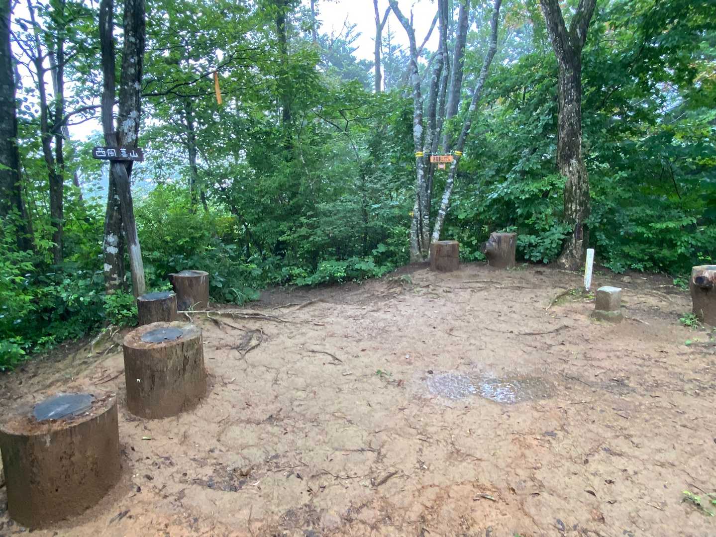 西風蕃山（ならいばんざん）山頂⛰
見晴らしはあまりないけど、なぜかほっとできるスペース。