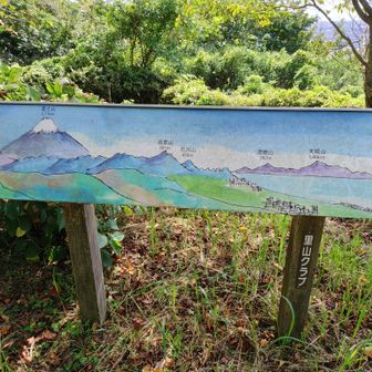 富士山が見えるそう