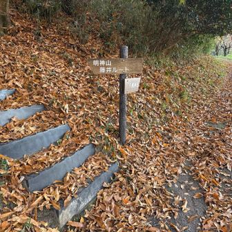 右の八幡神社に寄ってから戻って左の階段へ
最後に来てのこの長い階段道はかなりキツかった💦