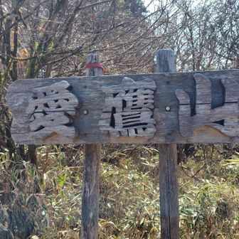 山頂には眺望の無い南側に立派な山名標識が立てられている💡