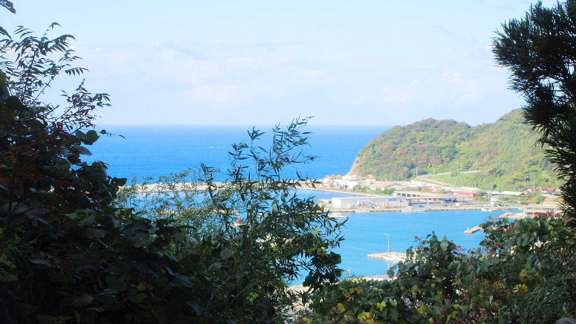 石段回避ルート展望所より