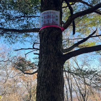 七沢山⛰️に登頂🙌
山頂標識はなくて木に紙が巻きつけられてました🤣