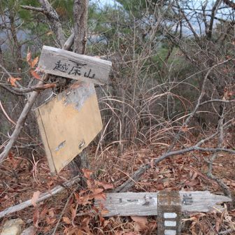 越床山（こしどやま）に到着、読み間違えてコストコ山と思ったよ！右へ進んでローソク岩を目指す。