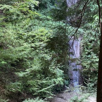 タカハタルート1番⁉︎の大滝💧