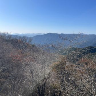 ちょっと幻想的な感じでした😊