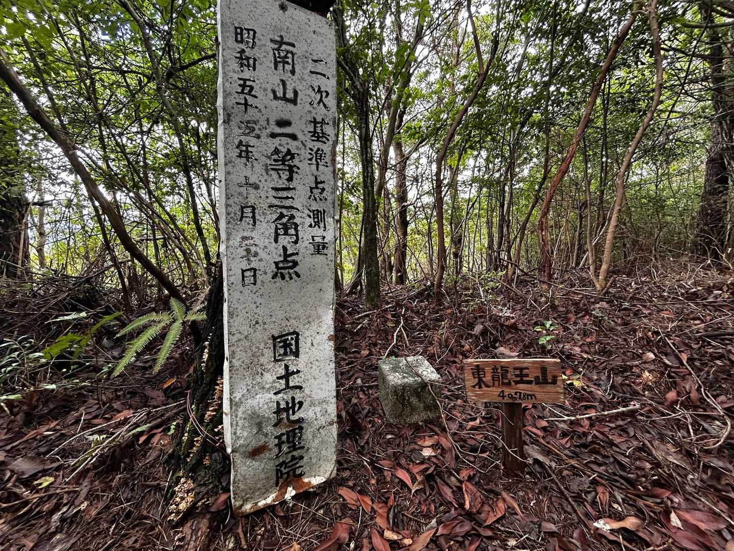 東龍王山👍🏻