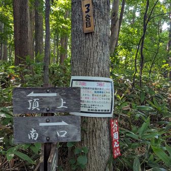 南口との合流