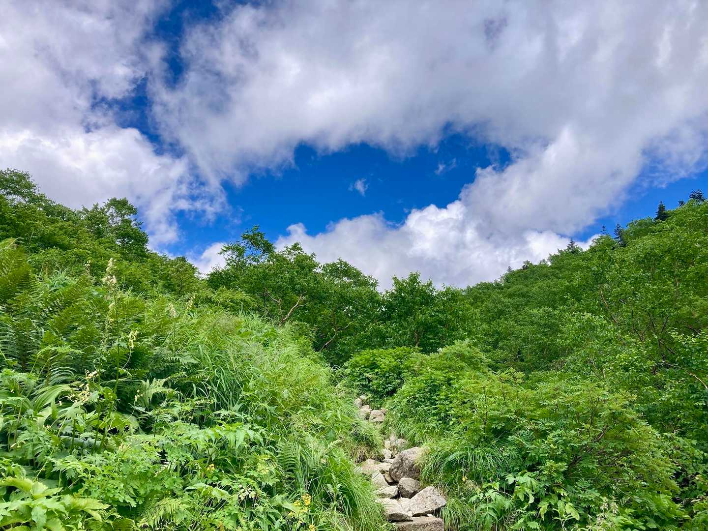 夏らしい雲☁️
