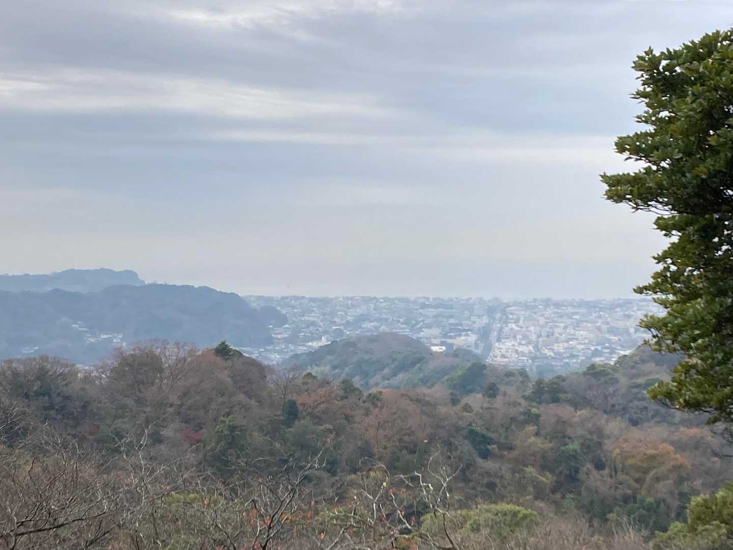 ちょうど鶴岡八幡宮の上あたりの位置でしょうか☺️