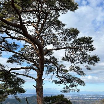 あのタイタニック岩まで来ました

写真撮り忘れ…💦

素晴らしい眺め✨