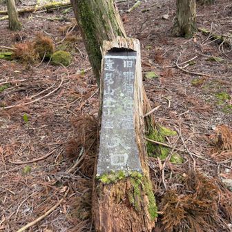 遠見山登山道入口