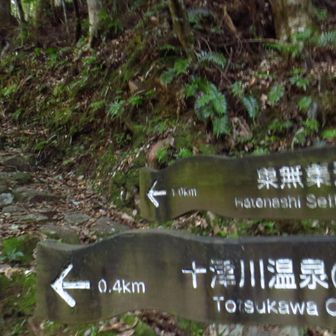 長い道のりだ