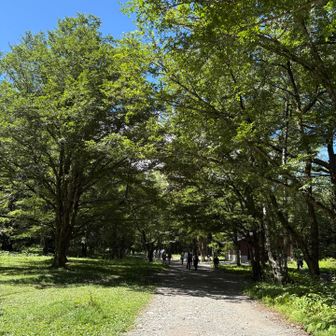上高地初めて来ました
川のそばでギター弾いてる人がいました
さすが上高地って感じですね✨
