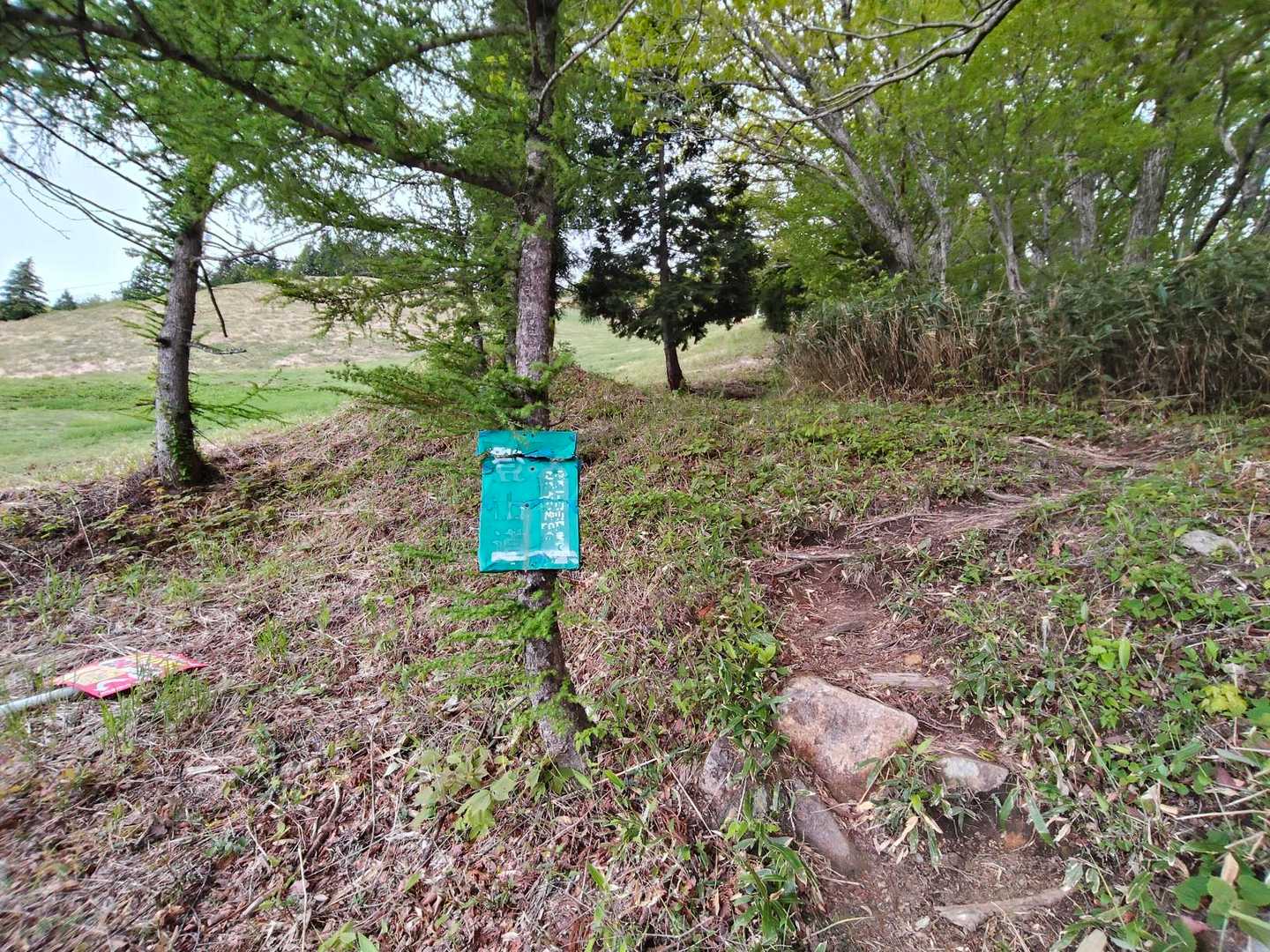 途中、登山道の看板。
ゲレンデを行きたいけど
初見なので登山道へあがる