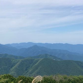 伊豆ヶ岳の後ろは堂平山方面かな