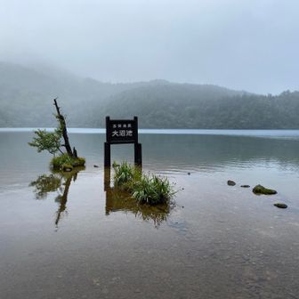 レストハウス前からの大沼池。