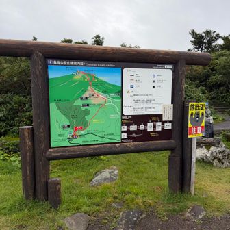 今日はこのコース！多分一般的なコースかな