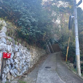 ここから登山口の階段に行けるんだけど、普通に人の家の横だったからちょっとびっくりした笑