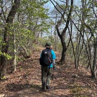 雰囲気のよい尾根歩き♪