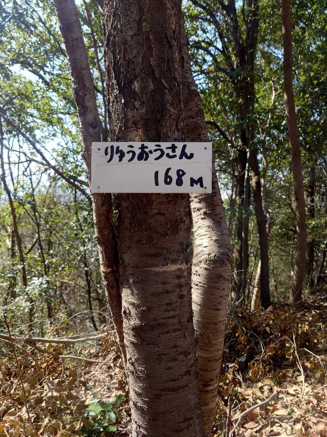 末登山口 -山神大明神-鬼ヶ臼山-鬼ヶ臼南登山口-八ッ山北 周回コースの写真