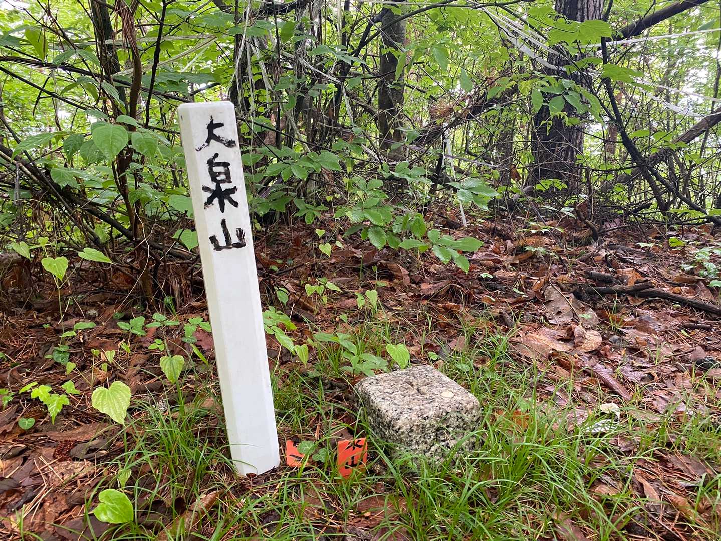 大泉山山頂