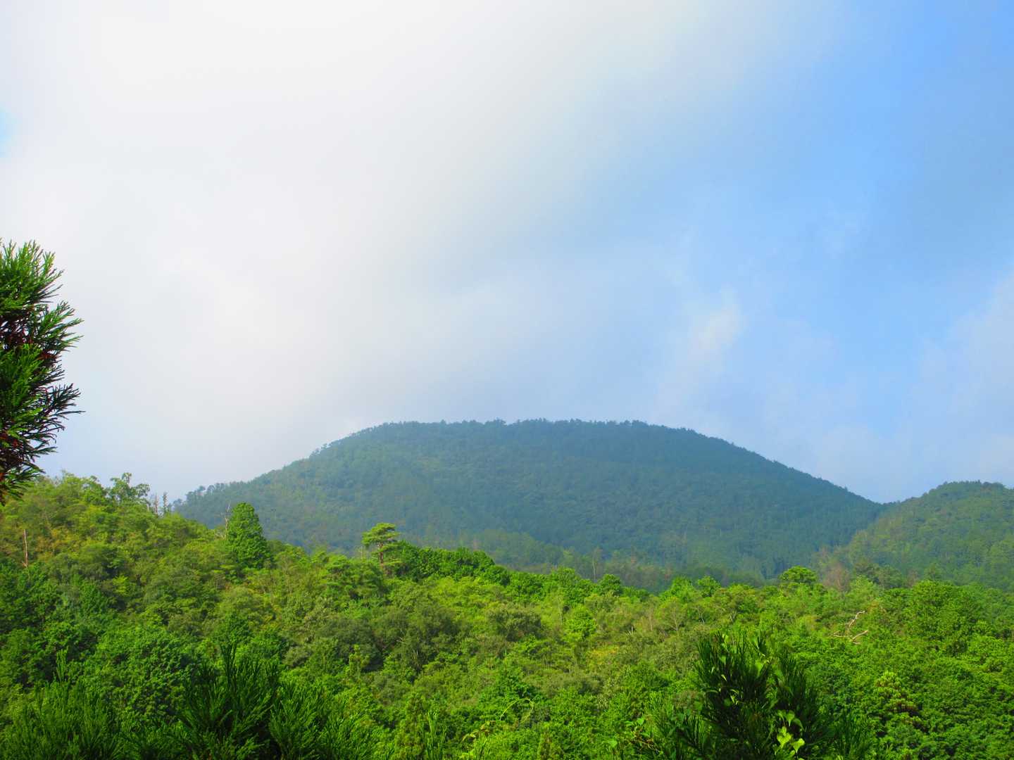 ポイント-京見峠-釈迦谷山-鷹峯源光庵前バス停 縦走コースの写真