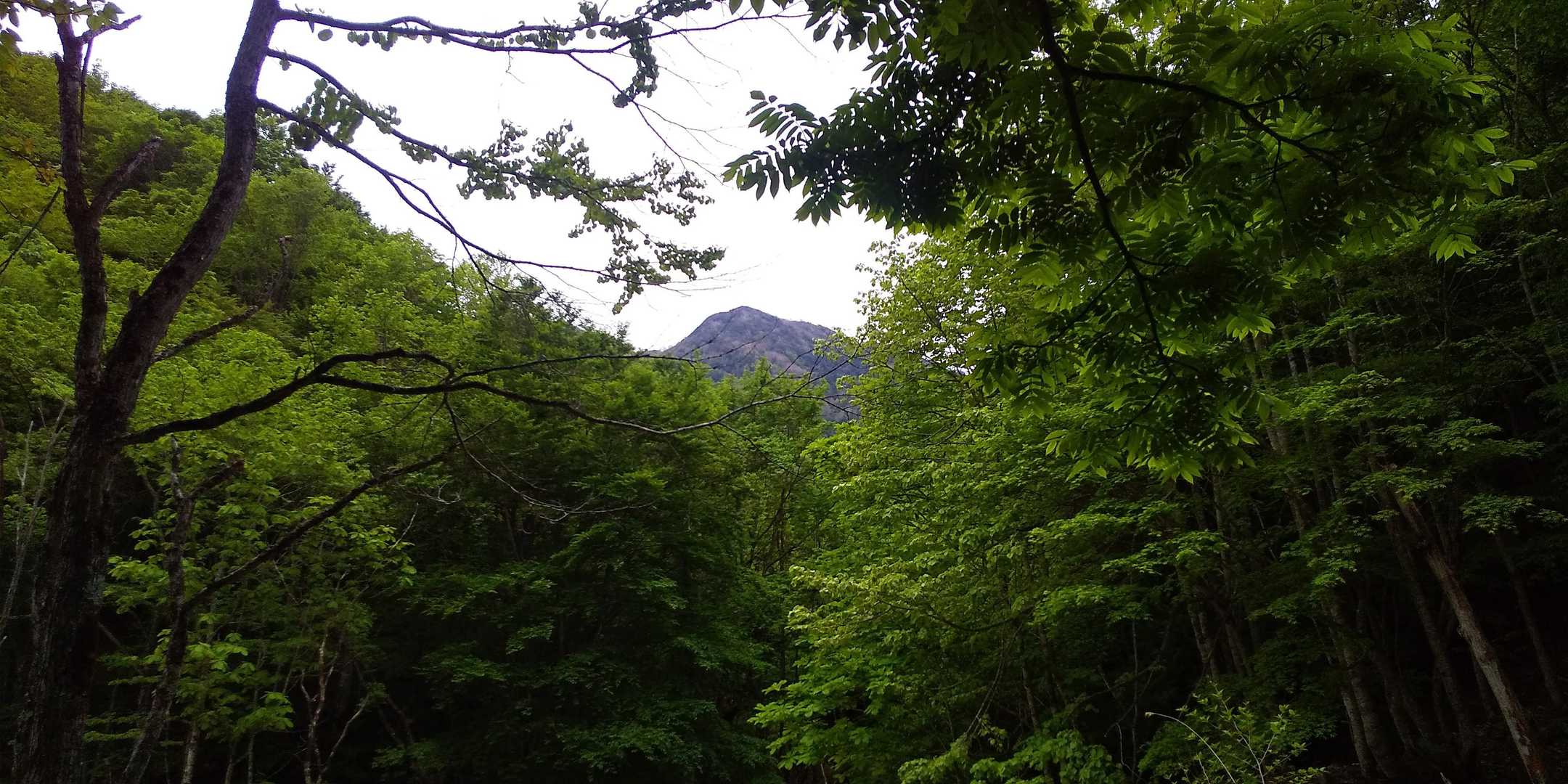 荒海山ありがとう
　また来ます。