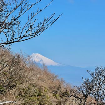 雪かぶってる富士山はホンマにきれい
日本に生まれてよかった