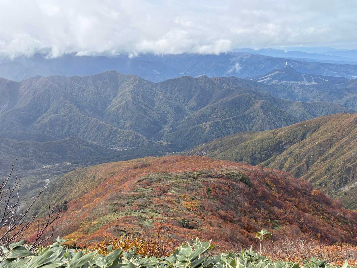 巻機山登山口-前巻機-巻機山 往復コースの写真