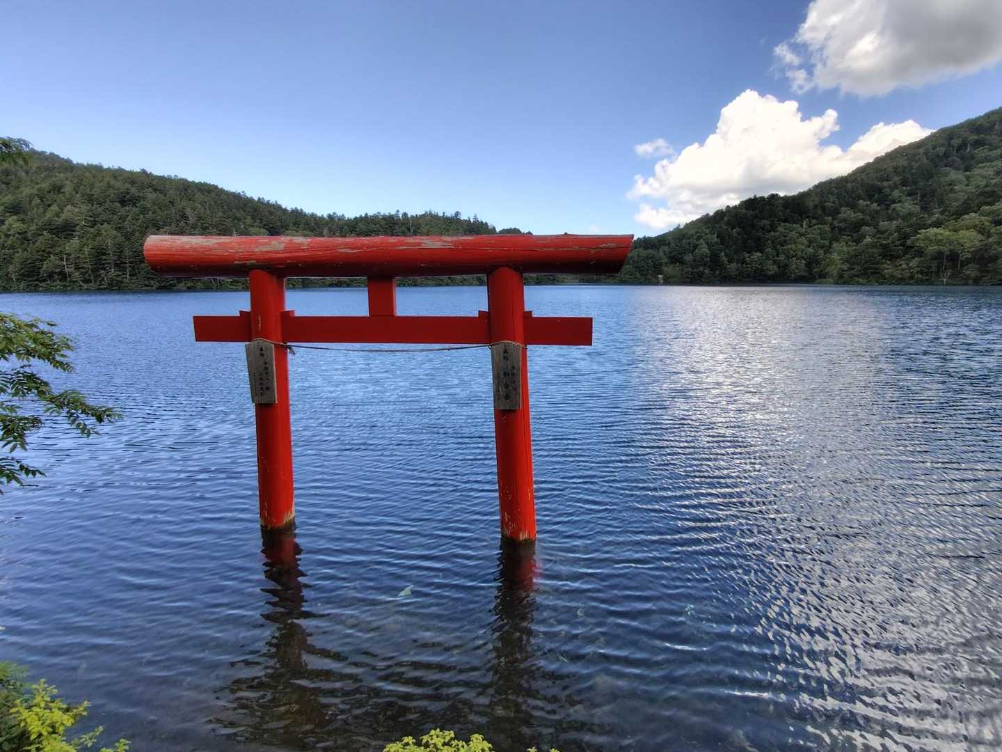 見たかったやつ⤴️