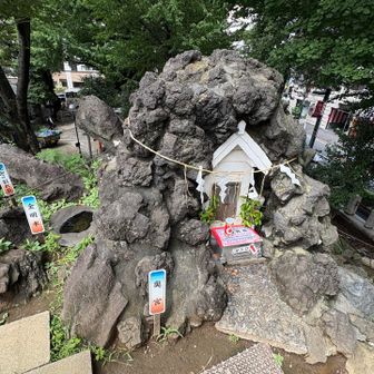 千駄ヶ谷富士登頂。