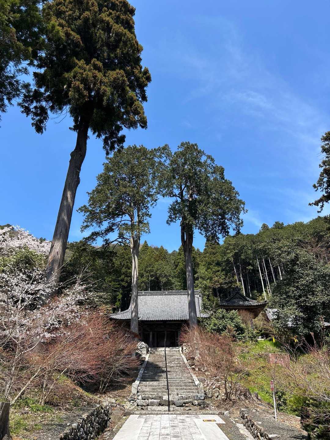 お寺さん