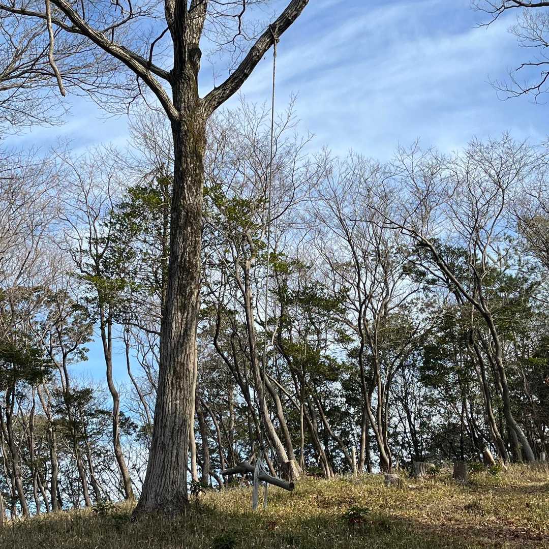 ブランコ