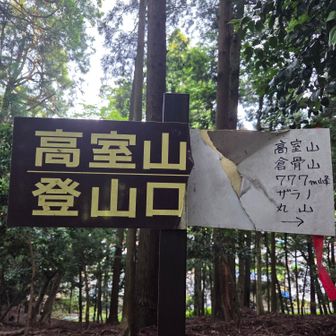 　本日は、この5座目標、全部行きたいな～🤔