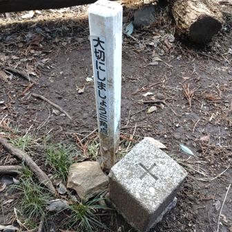 近くに三角点発見👀
前回来た時は気付いてなかった😅