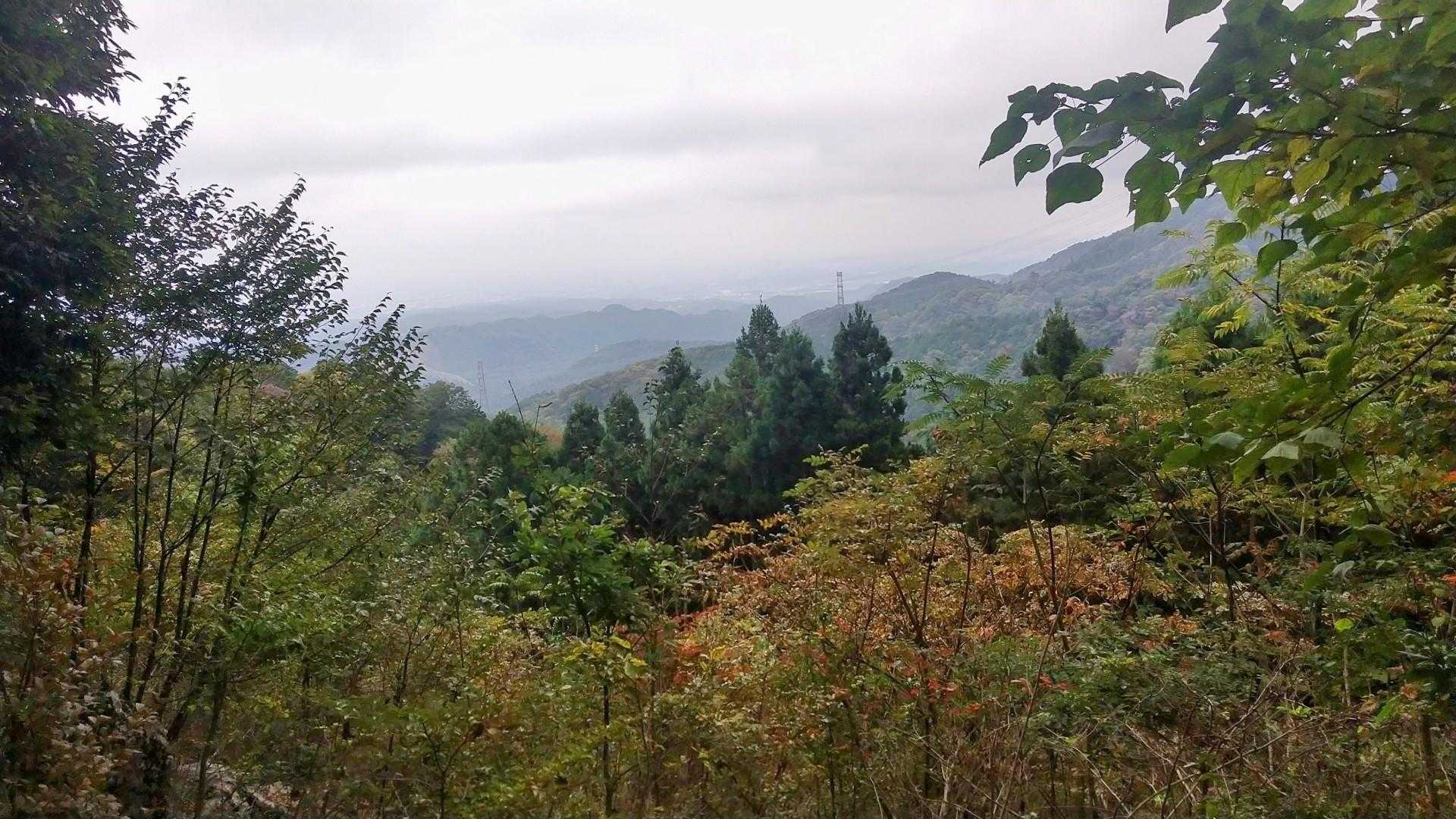 下山もおしゃべりしているとあっという間🤭