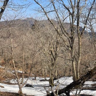 雪溪越しに武奈ヶ岳🤩