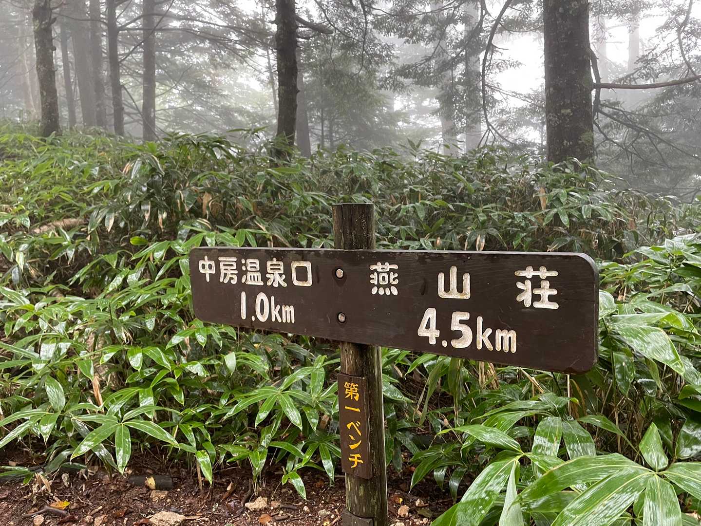 もう終わってしまう💦
