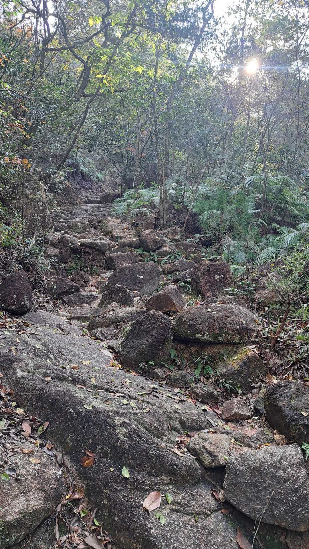 デコボコ岩を登ります