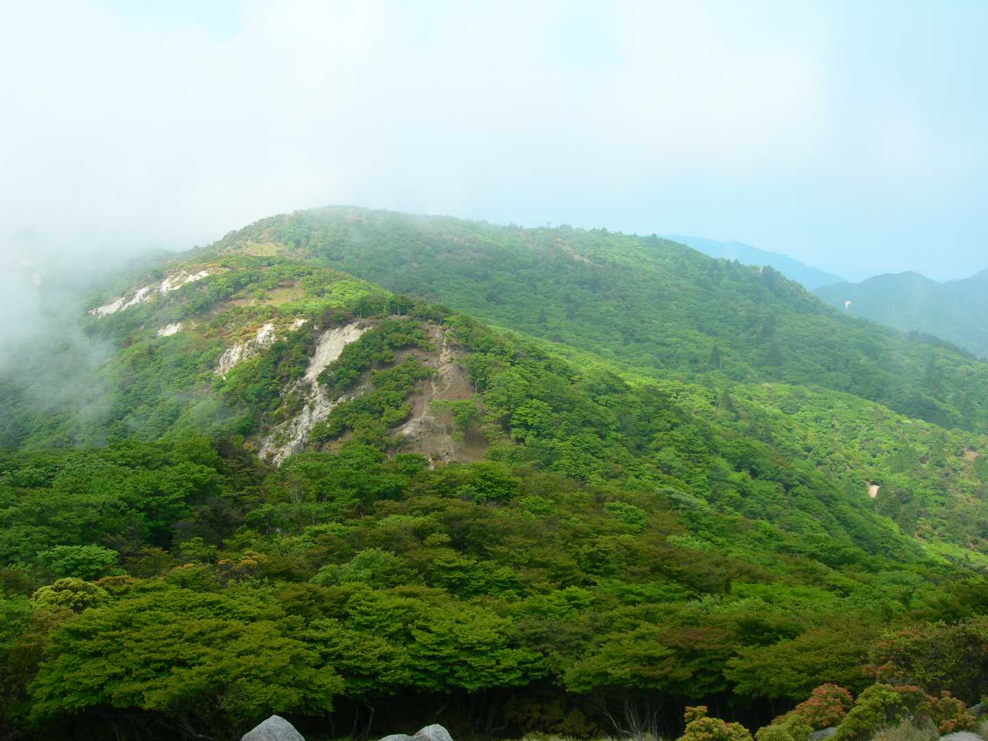 石榑峠-三池岳-八風峠-北仙香山-中峠 往復コースの写真