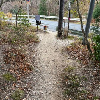 車道まで来ました。
あと少しです。