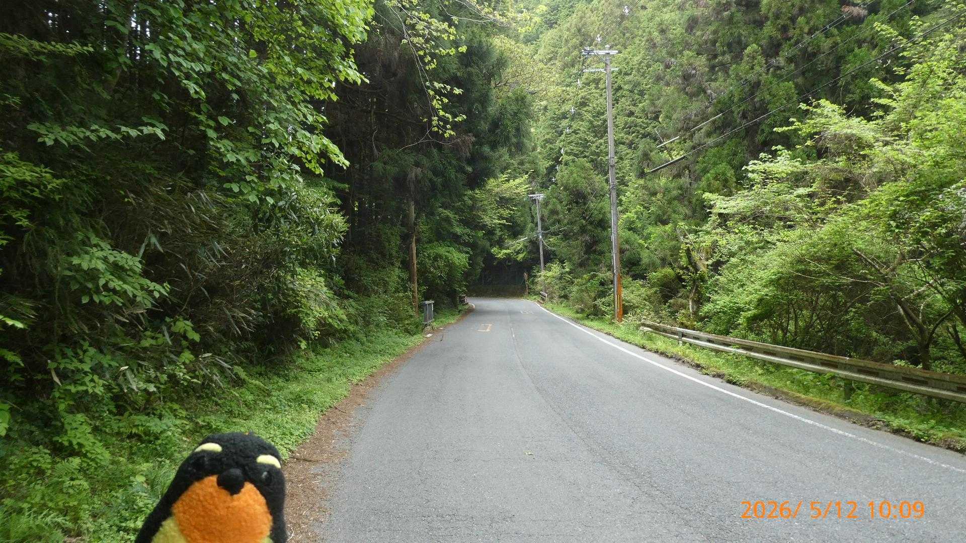 まだ曇っていて、バス道歩きも暑くなかったです。