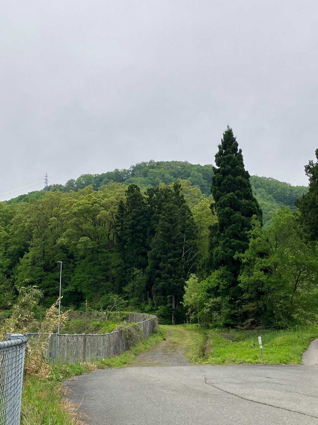 暑かったー💦早坂山お花で癒されました︎💕︎︎