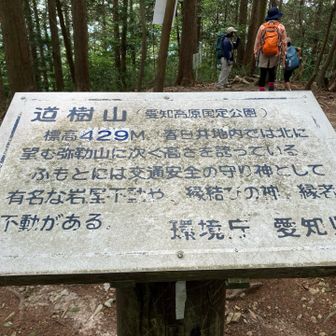 最後は道樹山。この後の下りが長～い階段だった。